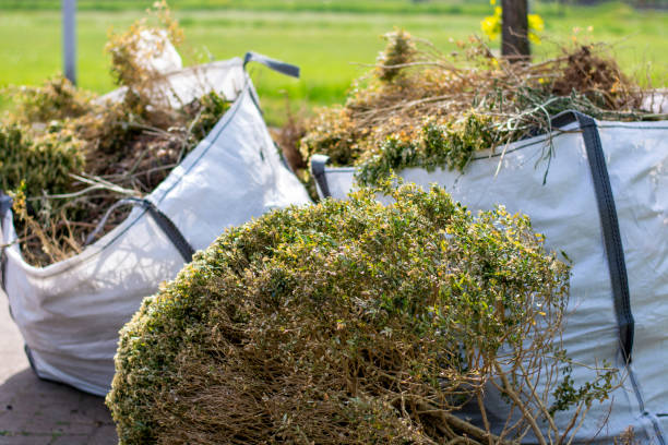  Loma Linda, CA Junk Removal Pros